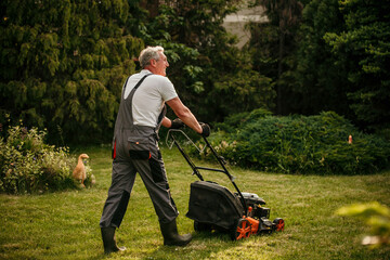 The male worker mows the grass on the site, cares for the garden, uses a gasoline lawn mower