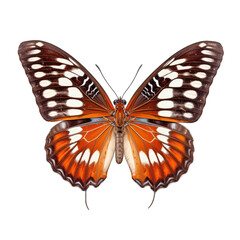 Obraz na płótnie Canvas Chestnut tiger butterfly - Parantica sita 1. Transparent PNG. Generative AI