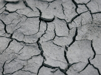 dry earth