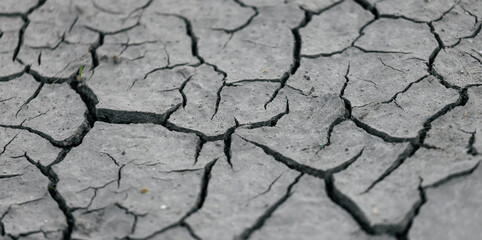 cracked earth texture