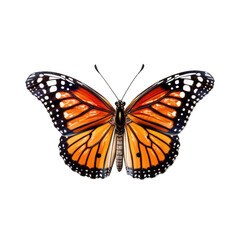 Obraz na płótnie Canvas Monarch butterfly - Danaus plexippus 1. Transparent PNG. Generative AI