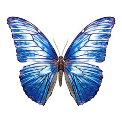Pea-blue butterfly -  Lampides boeticus 1. Transparent PNG. Generative AI