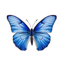 Obraz na płótnie Canvas Small blue butterfly - Cupido minimus 1. Transparent PNG. Generative AI