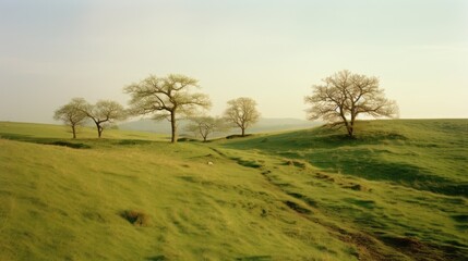 Fototapeta na wymiar Landscape of grassland. Nature photography. AI generated