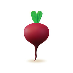 3d Fresh Vegetable Whole Beet Concept Cartoon Style Isolated on a White Background. Vector illustration of Beetroot