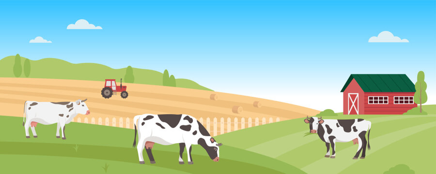 Rural landscape with cows. Farm in green field with blue sky. Dairy products farming concept. Vector illustration.