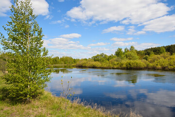 Fototapeta na wymiar On the forest river in the Meshchersky National Park.