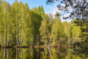 Fototapeta na wymiar On the forest river in the Meshchersky National Park.