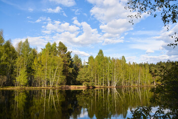On the forest river in the Meshchersky National Park.