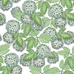 Watercolor seamless pattern with garden flowers and leaves on white background.