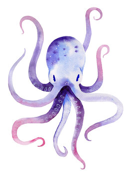 Colorful octopus, watercolor drawing