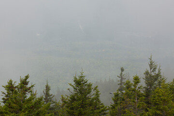 Fog lifting out of the valley at Mt. Kearsarge.