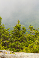 Fog lifting out of the valley at Mt. Kearsarge.