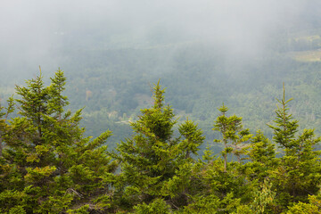 Fog lifting out of the valley at Mt. Kearsarge.