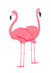 Two pink flamingo. Cute and beautiful flat pink flamingo on white background, summer design for print, kids drawing, design for t-shirt, poster, banner, design for fabric and textile