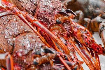 Langousts fresh raw on ice in supermarket, selective focus