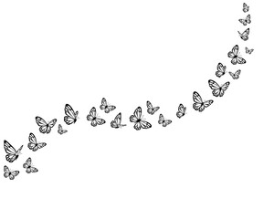 background with butterfly