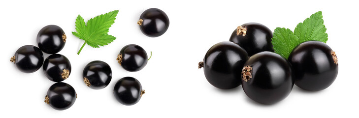 black currant with leaves isolated on white background . Top view. Flat lay pattern