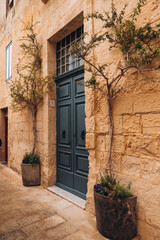 Fototapeta na wymiar Door in the wall on Malta