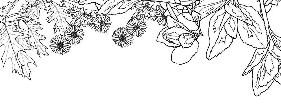 Banner con cornice floreale nera isolata su sfondo bianco e spazio per testo