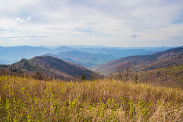 landscape in the mountains