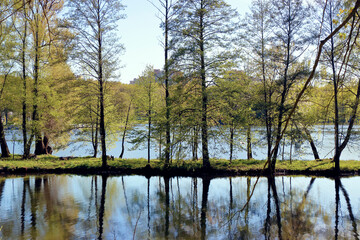 Spring on the lake 001