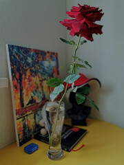 a rose in a beer glass 001