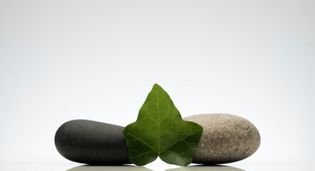 gray and black stones and green leaves on a white background for the product presentation podium.composition of zen stones and green leaves for the background of the podium