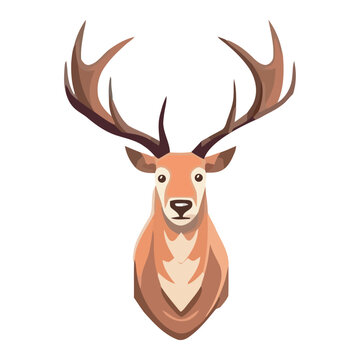 Cute deer with horns animal