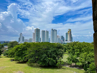 A beautiful view over lush green treetops of high-rise buildings in Panama City