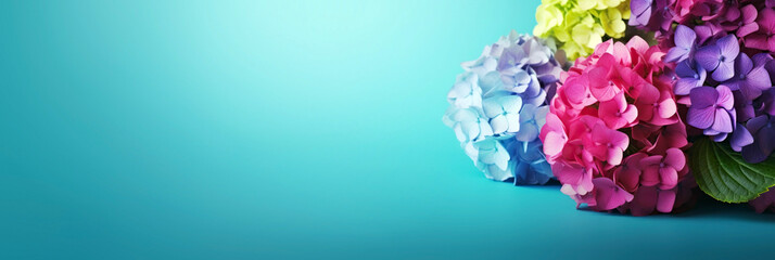 Several colorful hydrangea flowers on a blue background. . Generative AI