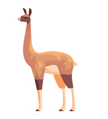 wild llama perubian animal icon