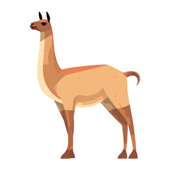 wild llama perubian animal character