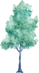 illustration of a tree