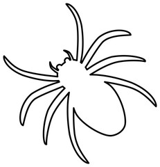 Spider outline icon. Sipmle illustration. Coloring book page.
