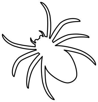 Spider outline icon. Sipmle illustration. Coloring book page.