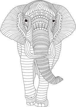 Colouring pictures of mandala stylized elephant coloring book page on a white background. African wildlife elephant coloring page for adults.