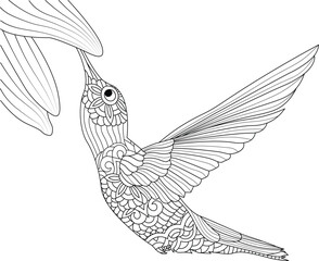 Hummingbird hand-drawn coloring page for stock vector with some floral elements. Topical birds coloring book pages.
