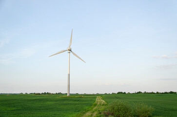 Turbiny wiatrowe - odnawialne źródła energii - wiatraki produkujące zieloną energie - obrazy, fototapety, plakaty