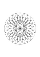 Obraz premium rosette aus symmetrisch angeordneten linien eine blütenform bildent