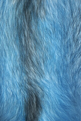 Texture. Animal fur. The coat is long and short. Colored and monochrome wool. Fox wool. Hedgehog fur.