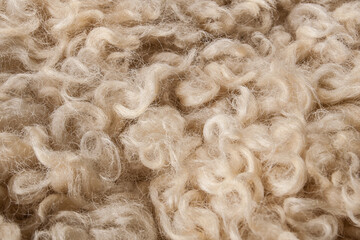 Texture. Animal fur. The coat is long and short. Colored and monochrome wool. Fox wool. Hedgehog fur.