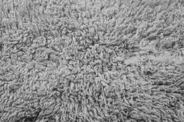 Texture. Animal fur. The coat is long and short. Colored and monochrome wool. Fox wool. Hedgehog fur.