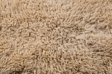Texture. Animal fur. The coat is long and short. Colored and monochrome wool. Fox wool. Hedgehog fur.