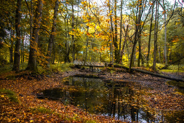 Obraz premium Autumn landscapes in Norway