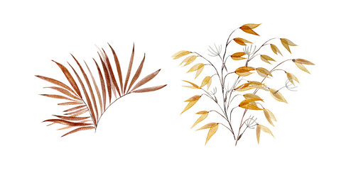 Fototapeta na wymiar watercolor dry leaves wheat plants in bouquets