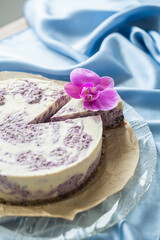 Obraz na płótnie Canvas Raw cake made with coconut milk and blueberries