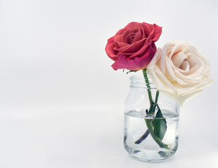 roses in a vase or jar 
