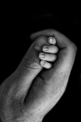 Fototapeta premium Close-up of a small hand of a child and the hand of mother and father. A newborn baby after birth holds tightly, squeezes the thumb of its parents. Black and white photography on a black background.