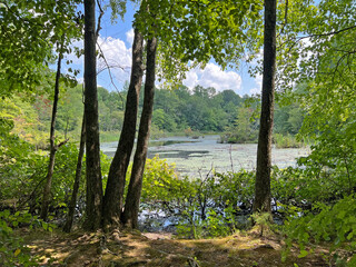  Sloans Crossing Pond Trail
